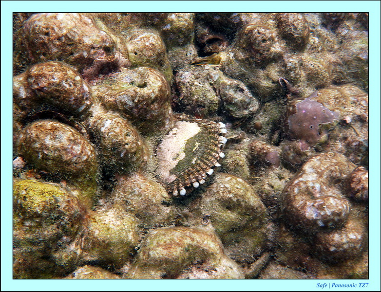 2011 - 07 - Koh Lipe 75